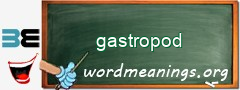 WordMeaning blackboard for gastropod